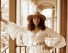 Martha Redbone Roots Project