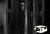 Technicians of Distortion featuring Philip H. Anselmo & The Illegals Plus Warbeast Plus Author & Punisher