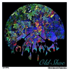 Old Shoe