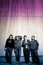 ZOOGMA plus Gravity A plus Paradim3 ZOOGMA plus Gravity A plus Paradim3