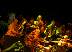 PAA KOW'S BY ALL MEANS BAND, THE FABULOUS PARTY BOYS, LITTLE TYBEE