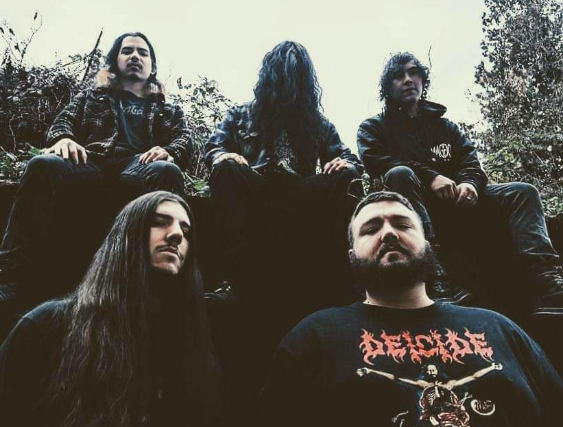 Coffin Rot