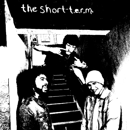 The Short T.E.R.M