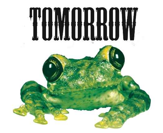 Tomorrow