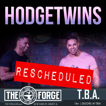 The Hodgetwins