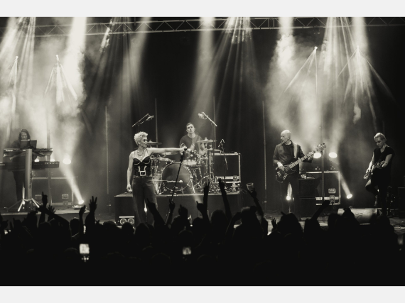 Pink by Vicky Jackson