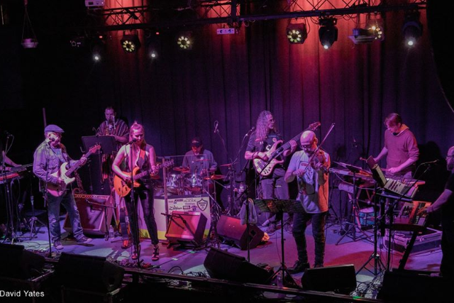 THE FURIOUS BONGOS (A Tribute To Frank Zappa)