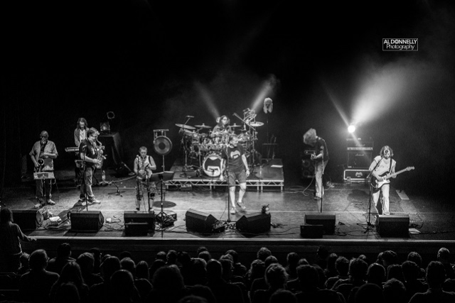 Pygmy Twylyte - Frank Zappa Tribute