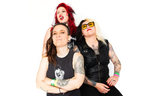 $5 SHOW - THE VENOMOUS PINKS w/ Donkey Jaw, Heterophobia & Flicker and Fade
