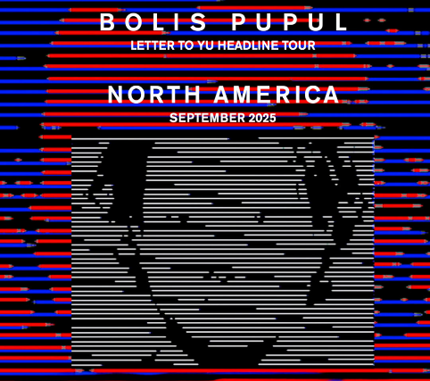 Bolis Pupul