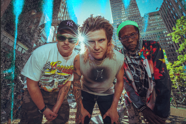Too Many Zooz