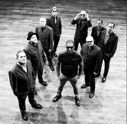 The Specials Ltd 'Too Much Too Young'