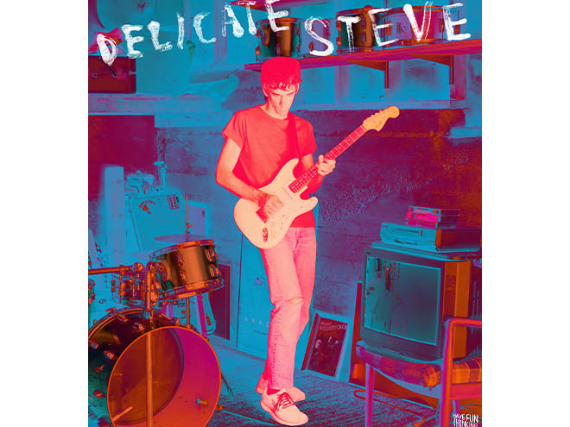Delicate Steve