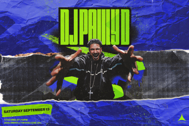 DJ Pauly D