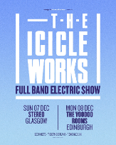 The Icicle Works The Icicle Works