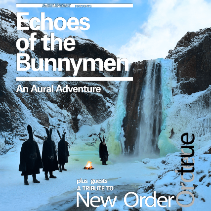 Echoes of the Bunnymen