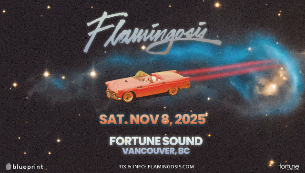 Flamingosis Flamingosis