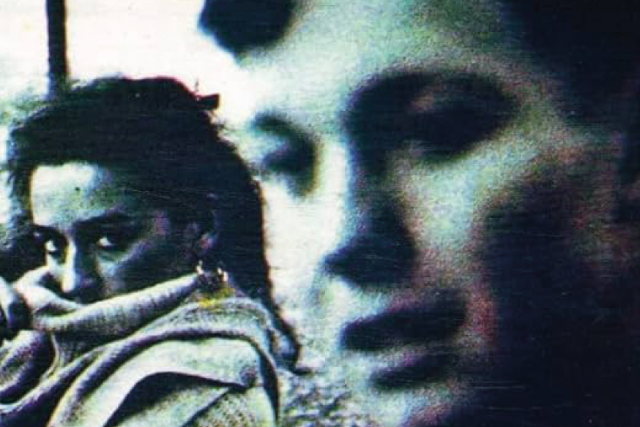 Martin Stephenson & The Daintees , Nicola Madill