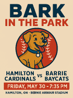 Hamilton Cardinals vs Barrie Baycats - Bark in the Park