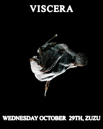 VISCERA