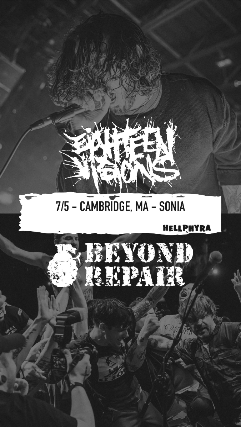 Eighteen Visions, Beyond Repair