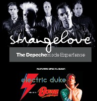 Strangelove: The Depechemode Experience