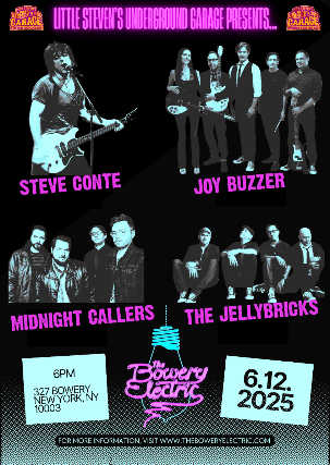 Steve Conte • Joy Buzzer • The Jellybricks • The Midnight Callers