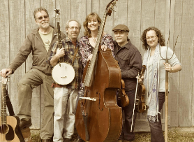 Mr. Haney Appalachian Stringband