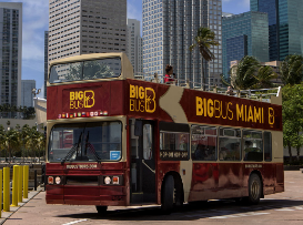 Rock and Ride! Hard Rock Cafe Miami and Big Bus Tours Miami
