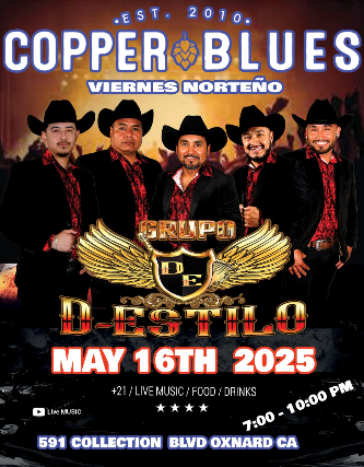 Grupo D-Estilo