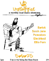 VB UNPLUGGED - A MONTHLY LOCAL MUSIC SHOWCASE