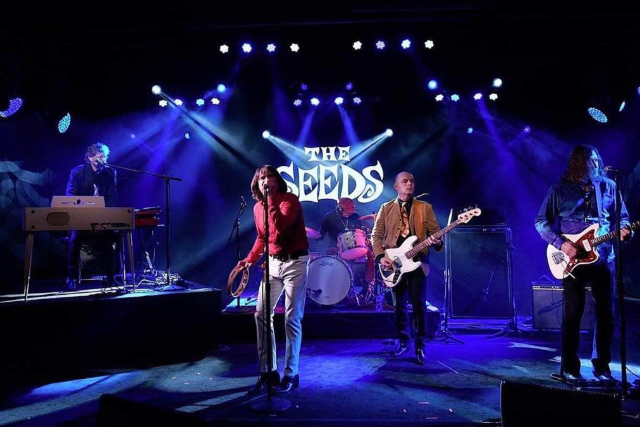 The Seeds + The Sting-Rays
