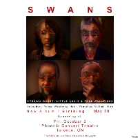 Swans