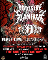 Poolside At The Flamingo