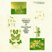 Sunglasz Vendor & Glasshouse Red Spider Mite Sunglasz Vendor & Glasshouse Red Spider Mite