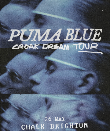 Puma Blue