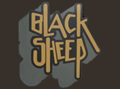 Black Sheep Inn