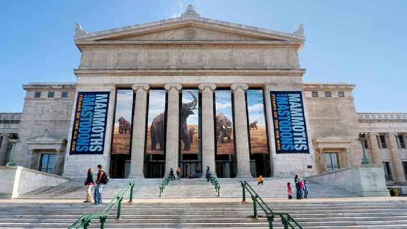 Field Museum Northeast Terrace