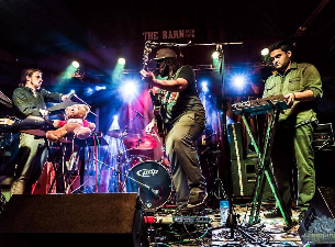 Teddy Midnight Image