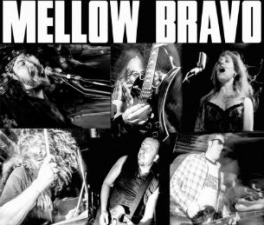 Mellow Bravo Image