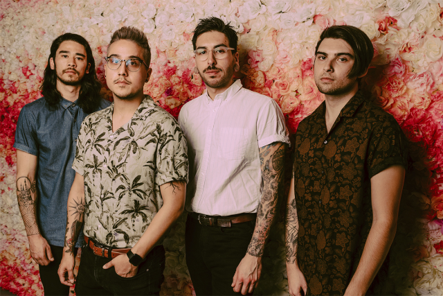 Dayseeker Image