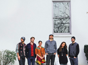 Elephant Revival Image