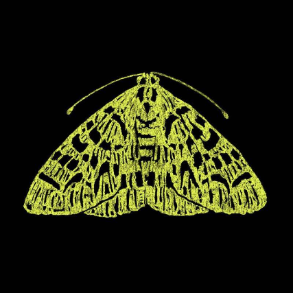 The Moth StorySLAM Image