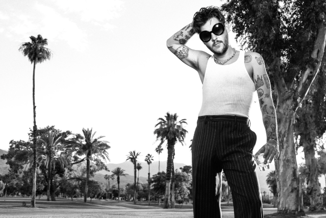 Wavves Image