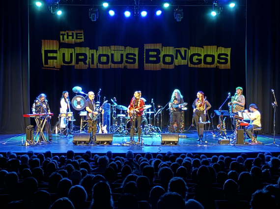 The Furious Bongos Image