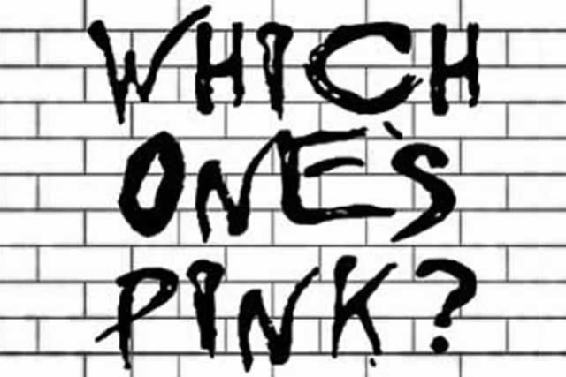 Which One's Pink? - Pink Floyd Tribute