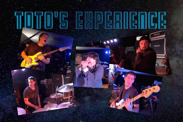 Toto Experience