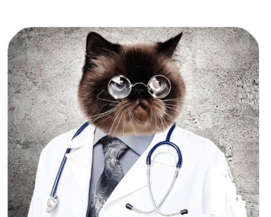 Tractor COVID Policy Image