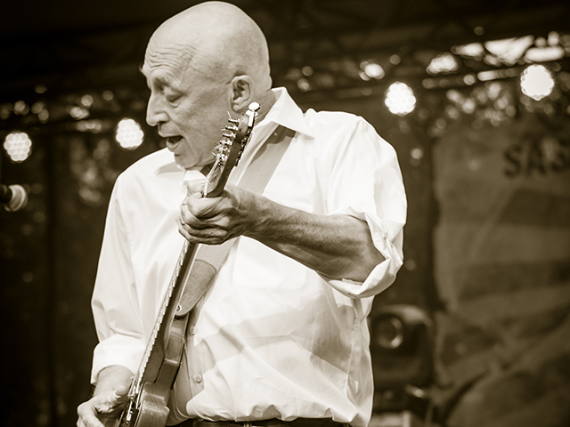 David Wilcox Image