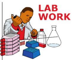Lab Work! Hosted by NAZ JANUS!